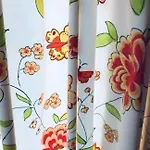 Отель Daneu
