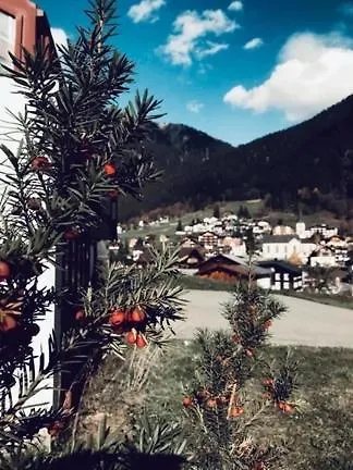 Daneu