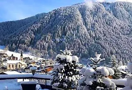 Daneu 加舒恩