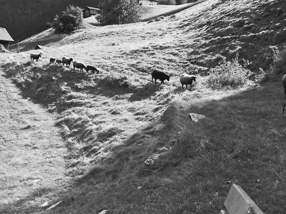 Hotel Daneu Gaschurn